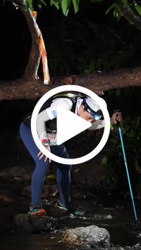 BIB:  <button type="button" onclick="openModal(27509271)" class="btn btn-primary btn-sm float-right" data-toggle="modal" data-target=".modal-high-quality">
                <i class="fa fa-download"></i> Download
                </button>